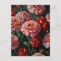Nelken-Blume