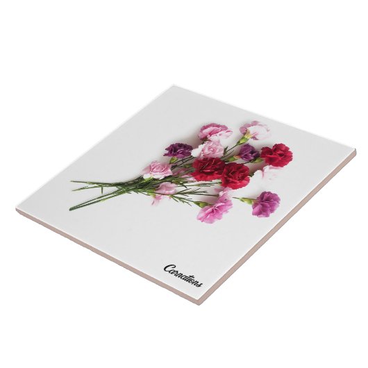 Nelken Fliese (Seite)