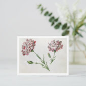 Nelken (ohne Papier) Postkarte (Stehend Vorderseite)