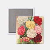 Nelken-Samenpaket-Magnet Magnet (Vorderseite/Rückseite)