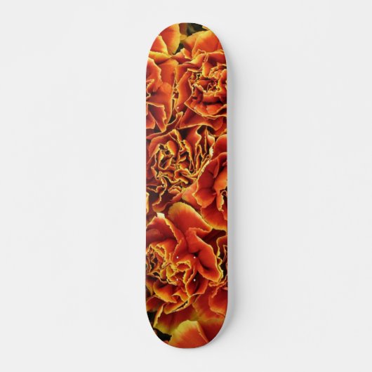 Nelken Skateboard (Vorne)