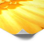 Nelken und Gelbgerbere Poster (Ecke)