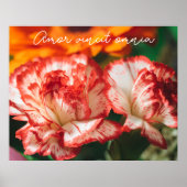 Nelken und Gerbere Poster (Vorne)