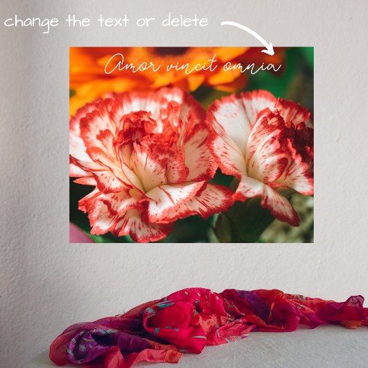 Nelken und Gerbere Poster