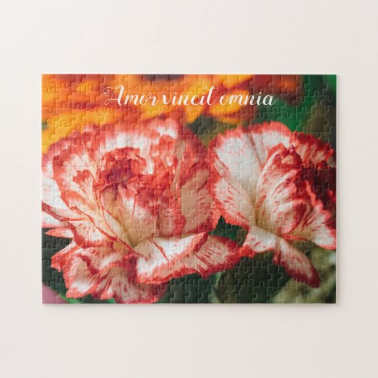 Nelken und Gerbere Puzzle (Horizontal)