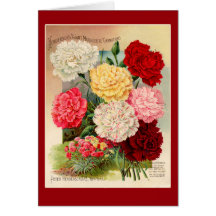 Nelken Vintage-Samenpaket-Kunst auf Karten