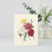 Nelken von Pierre-Joseph Redouté Postkarte (Stehend Vorderseite)