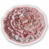 Nelkenaufkleber Aufkleber (Vorderseite)