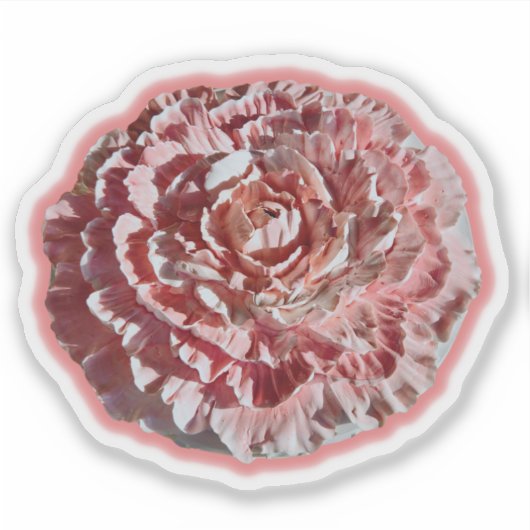 Nelkenaufkleber Aufkleber (Vorderseite)