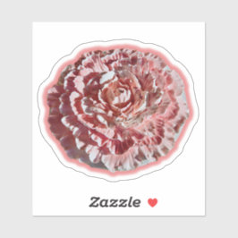 Nelkenaufkleber Aufkleber