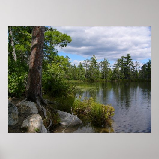 Nelligasee Poster (Vorne)