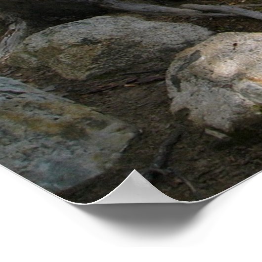 Nelligasee Poster (Ecke)