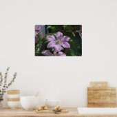 Nelly Moser Clematis 2009 Poster (Küche)