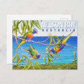 Nelson Bay Australia Birds Lorikeet Beach Malerei Postkarte (Vorne/Hinten)