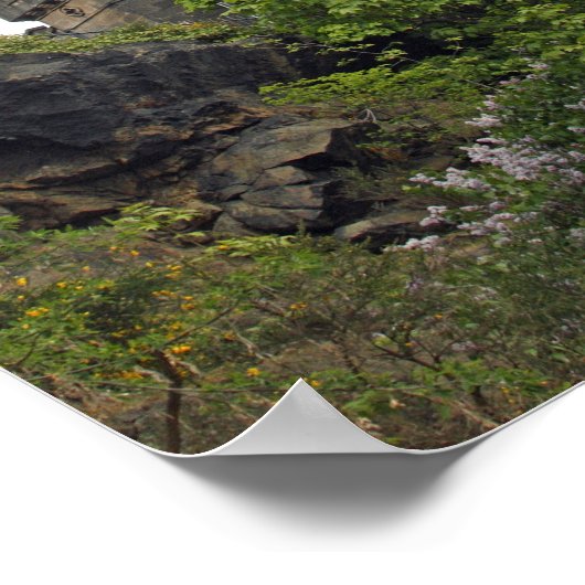 Nelson Monument, Edinburgh Poster (Ecke)