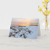 Nelson Park Plymouth Massachusets Karte (Gelbe Blume)