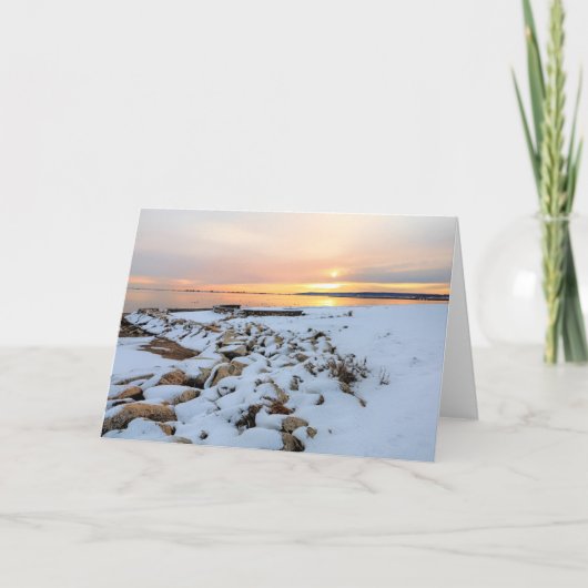 Nelson Park Plymouth Massachusets Karte (Vorderseite)