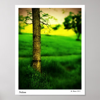 Nelson Poster