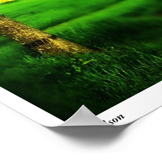 Nelson Poster (Ecke)