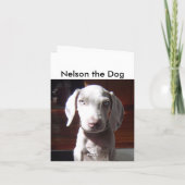 NelsonTheDog Karte (Rückseite)