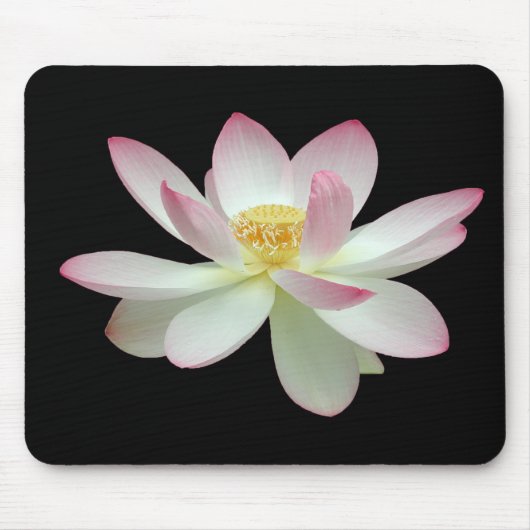 Nelumbo nucifera mousepad (Vorne)