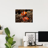 Nemo Clown Fish Print Poster (Heimbüro)