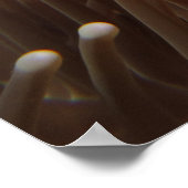 Nemo Clown Fish Print Poster (Ecke)