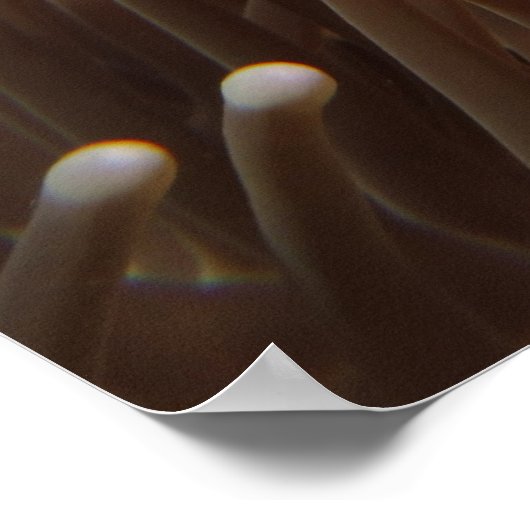 Nemo Clown Fish Print Poster (Ecke)