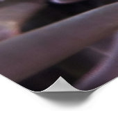 Nemo Found Poster (Ecke)