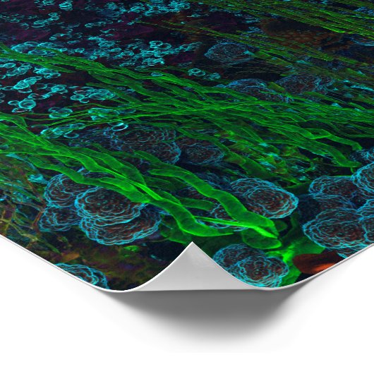 Nemo-Garten Poster (Ecke)