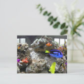 Nemo mit seiner Gang Postkarte (Stehend Vorderseite)