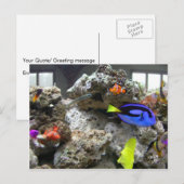 Nemo mit seiner Gang Postkarte (Vorne/Hinten)