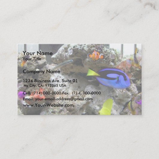 Nemo mit seiner Gang Visitenkarte (Vorderseite)