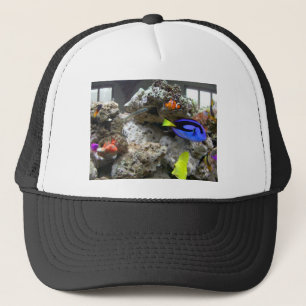 Nemo mit seiner Gruppe Truckerkappe
