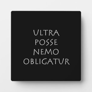 Nemo obligatoratur fotoplatte