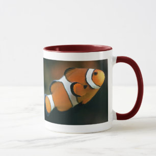 Nemo Tasse