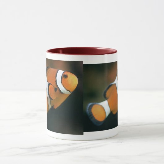 Nemo Tasse (Zentrum)