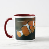 Nemo Tasse (Links)
