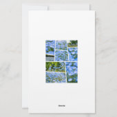 NEMOPHILA（Baby Blue Eyes） Briefpapier (Rückseite)