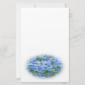 NEMOPHILA（Baby Blue Eyes） Briefpapier (Vorderseite)