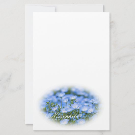 NEMOPHILA（Baby Blue Eyes） Briefpapier (Vorderseite)