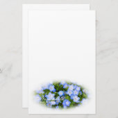 NEMOPHILA(Baby Blue Eyes) Briefpapier (Vorne/Hinten)