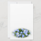 NEMOPHILA(Baby Blue Eyes) Briefpapier (Vorderseite)