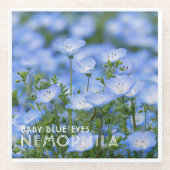 NEMOPHILA（Baby Blue Eyes） Glasuntersetzer (Vorderseite)