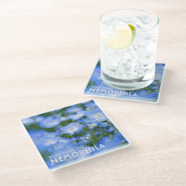 NEMOPHILA（Baby Blue Eyes） Glasuntersetzer