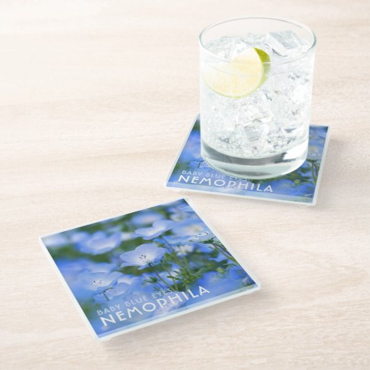 NEMOPHILA(Baby Blue Eyes) Glasuntersetzer (Schrägansicht)