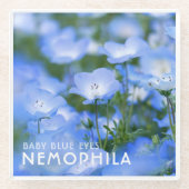 NEMOPHILA（Baby Blue Eyes） Glasuntersetzer (Vorderseite)