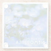 NEMOPHILA(Baby Blue Eyes) Glasuntersetzer (Rückseite)