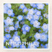 NEMOPHILA（Baby Blue Eyes） Glasuntersetzer (Vorderseite)