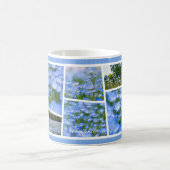 NEMOPHILA（Baby Blue Eyes） Kaffeetasse (Mittel)